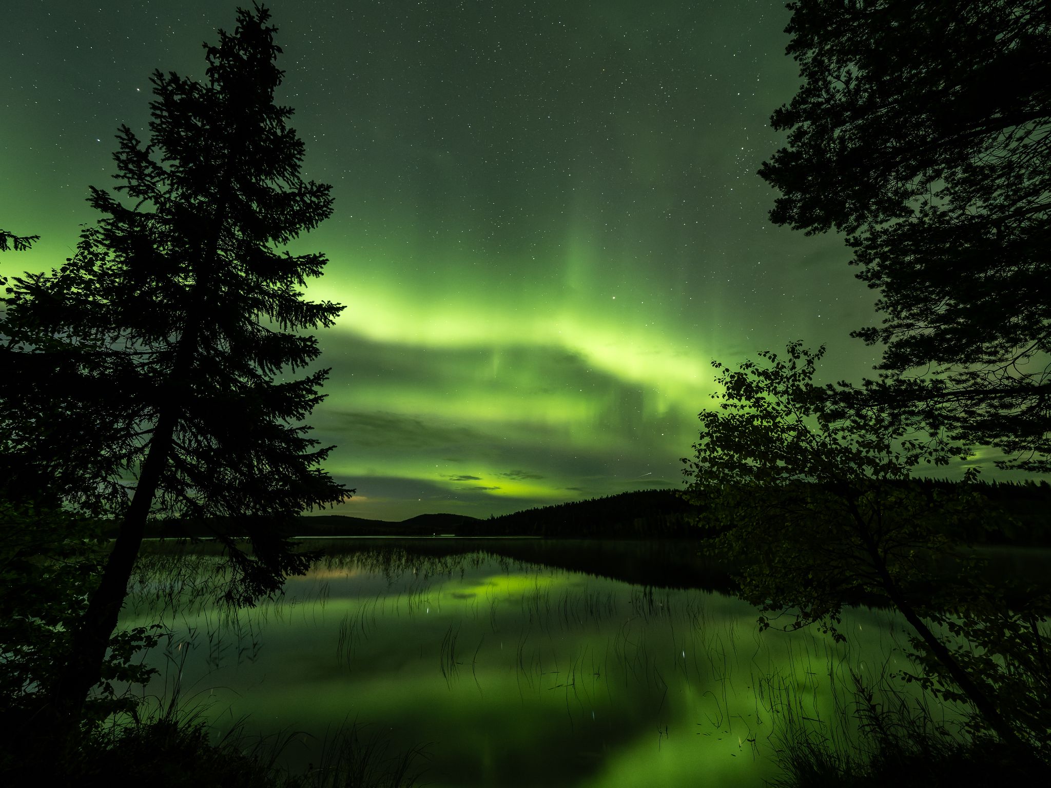 Nordlicht
